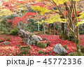 紅葉の庭2 45772336