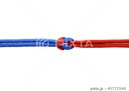 Knot on a cord on a white background . 45772540