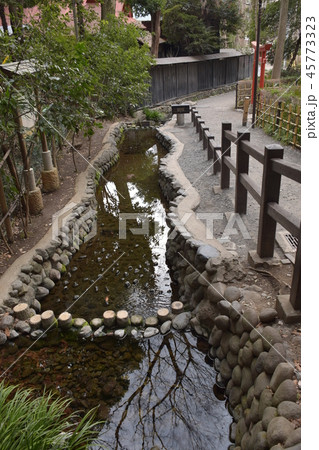 真姿の池湧水 真姿の池湧水 45773323