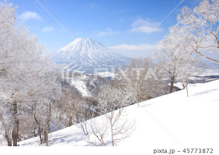 本倶登山から見る雪の羊蹄山 45773872