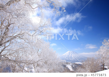 本倶登山から見る雪の羊蹄山 45773873