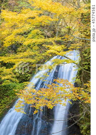 峨瓏の滝 45774561