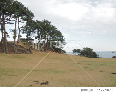種差海岸 45774671