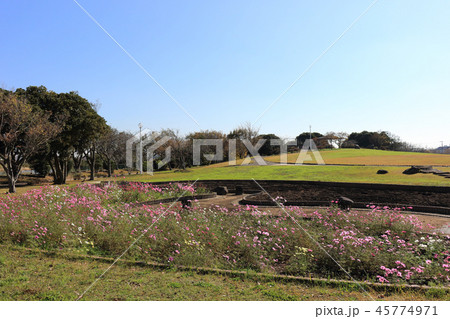 小櫃堰公園（木更津市） 45774971