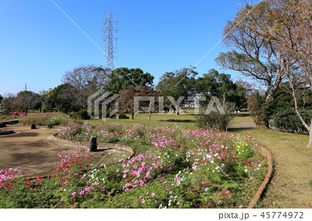 小櫃堰公園（木更津市） 45774972