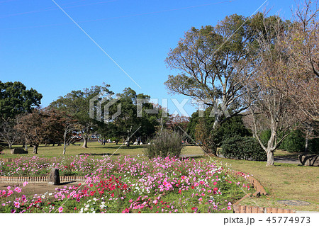 小櫃堰公園（木更津市） 45774973