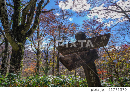 島根県、吾妻山山頂から大膳原への景色（2018年11月） 45775570