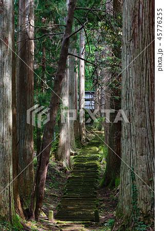 林道 林道 45776255