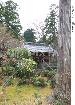 龍潭寺　仁王門 45776949