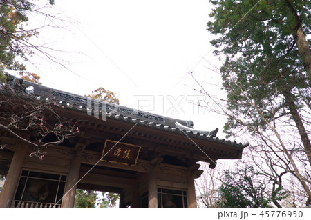 龍潭寺　仁王門 45776950