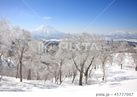 本倶登山から見る雪の羊蹄山 45777007