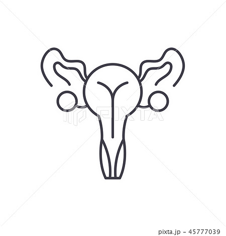 Female genitals line icon concept. Female genitals vector linear illustration, symbol, sign 45777039