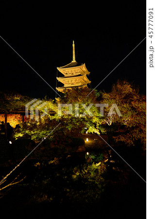 東寺のライトアップ_No30 東寺のライトアップ_No30 45777091