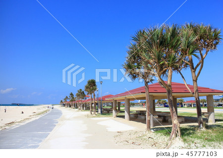 美らSUNビーチ 美らSUNビーチ 45777103