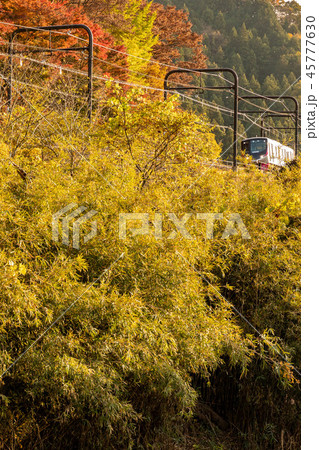 紅葉と京王高尾線 45777630