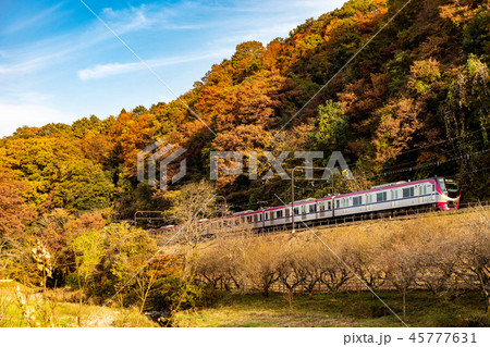 紅葉と京王高尾線 45777631