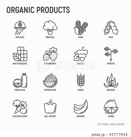 Organic products thin line icons set 45777633