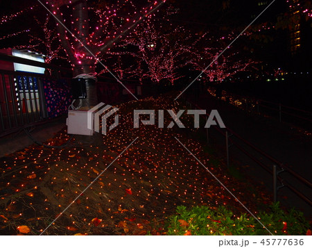 目黒川の夜景 目黒川の夜景 45777636