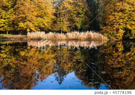 Autumn Lake in Lazienki Park in Warsaw Autumn Lake in Lazienki Park in Warsaw 45778196