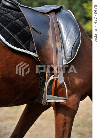 Detail of a horse saddle 45778478