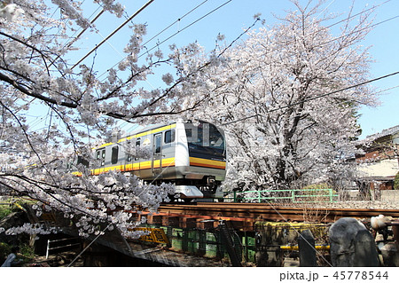 南武線と桜 45778544