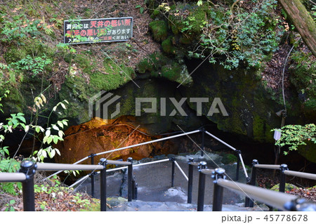 鳴沢風穴 45778678