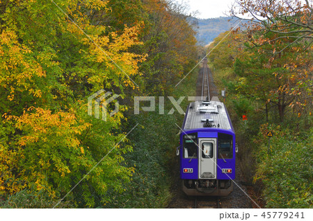 キハ120関西本線 キハ120関西本線 45779241