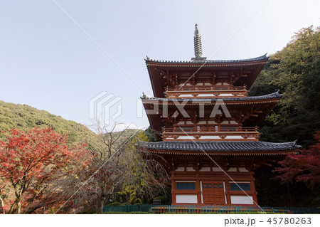 みやま市　清水寺　紅葉 45780263