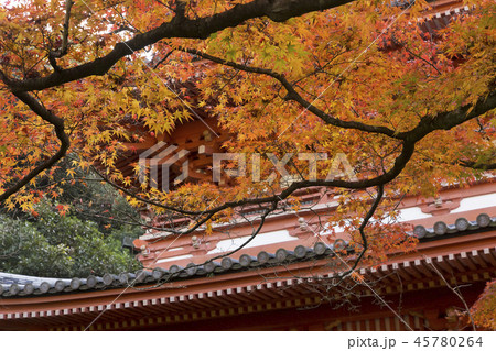 みやま市　清水寺　紅葉 45780264