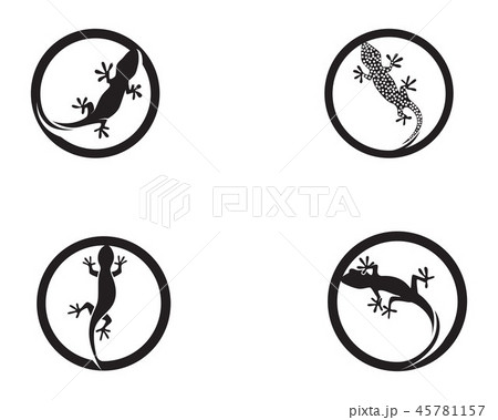 Lizard Chameleon Gecko Silhouette black vector 45781157