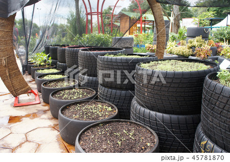 Plant planter box is made from race car tire Plant planter box is made from race car tire 45781870