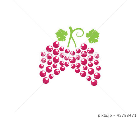 grape purple and green vector illustration grape purple and green vector illustration 45783471