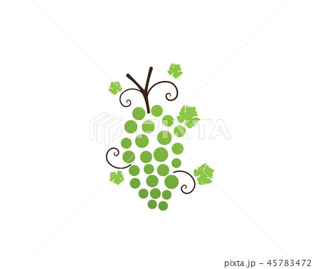 grape purple and green vector illustration grape purple and green vector illustration 45783472