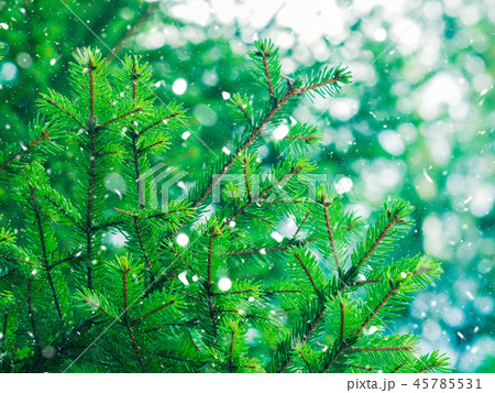 Green fir tree winter christmas background Green fir tree winter christmas background 45785531