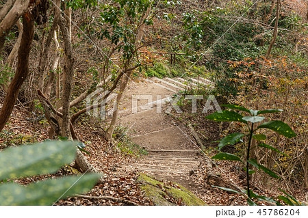 兵庫県。六甲山の遊歩道。 兵庫県。六甲山の遊歩道。 45786204
