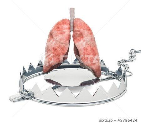 Lungs Pain concept. Human lungs inside bear trap 45786424