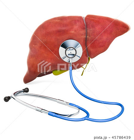 Human liver with stethoscope Human liver with stethoscope 45786439