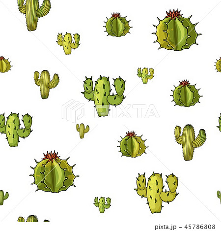 Vector seamless pattern with cactuses. Trendy desert design for boy kid textile 45786808