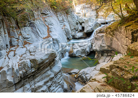 秋の面河渓 45786824