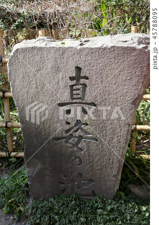 真姿の池 真姿の池 45788095