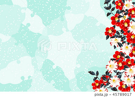 椿　緑 45789017