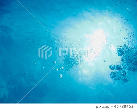 美しい慶良間島の水中 美しい慶良間島の水中 45789452