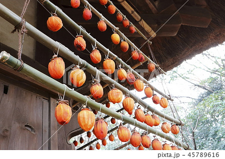 三渓園の古民家のつるし柿 45789616
