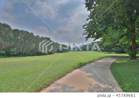 walk way and green field at golf club walk way and green field at golf club 45789681