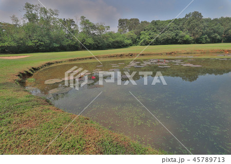 a Golf course with gorgeous green and pond. a Golf course with gorgeous green and pond. 45789713