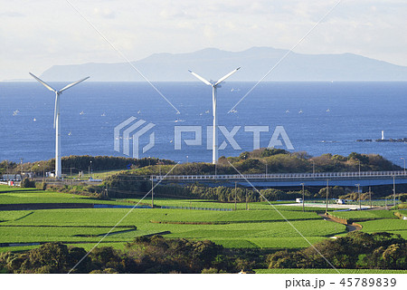 【神奈川県三浦市】 撤去予定の宮川公園風力発電と農業地 【冬の大根】 【神奈川県三浦市】 撤去予定の宮川公園風力発電と農業地 【冬の大根】 45789839