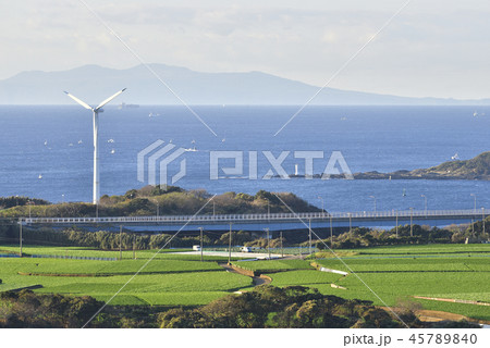 【神奈川県三浦市】 撤去予定の宮川公園風力発電と農業地 【冬の大根】 45789840