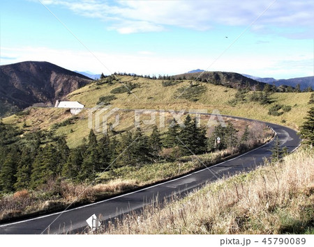 標高2119mの風景 45790089