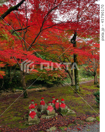 紅葉 地蔵 紅葉 地蔵 45790170