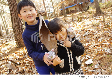 秋の森林で兄妹なかよく 45790427